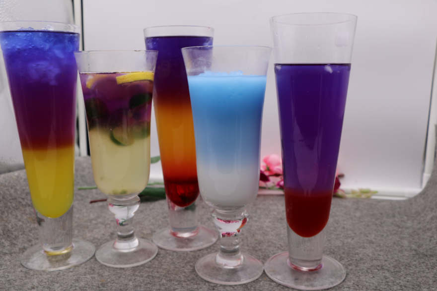 郑州泰国蝶豆花培训